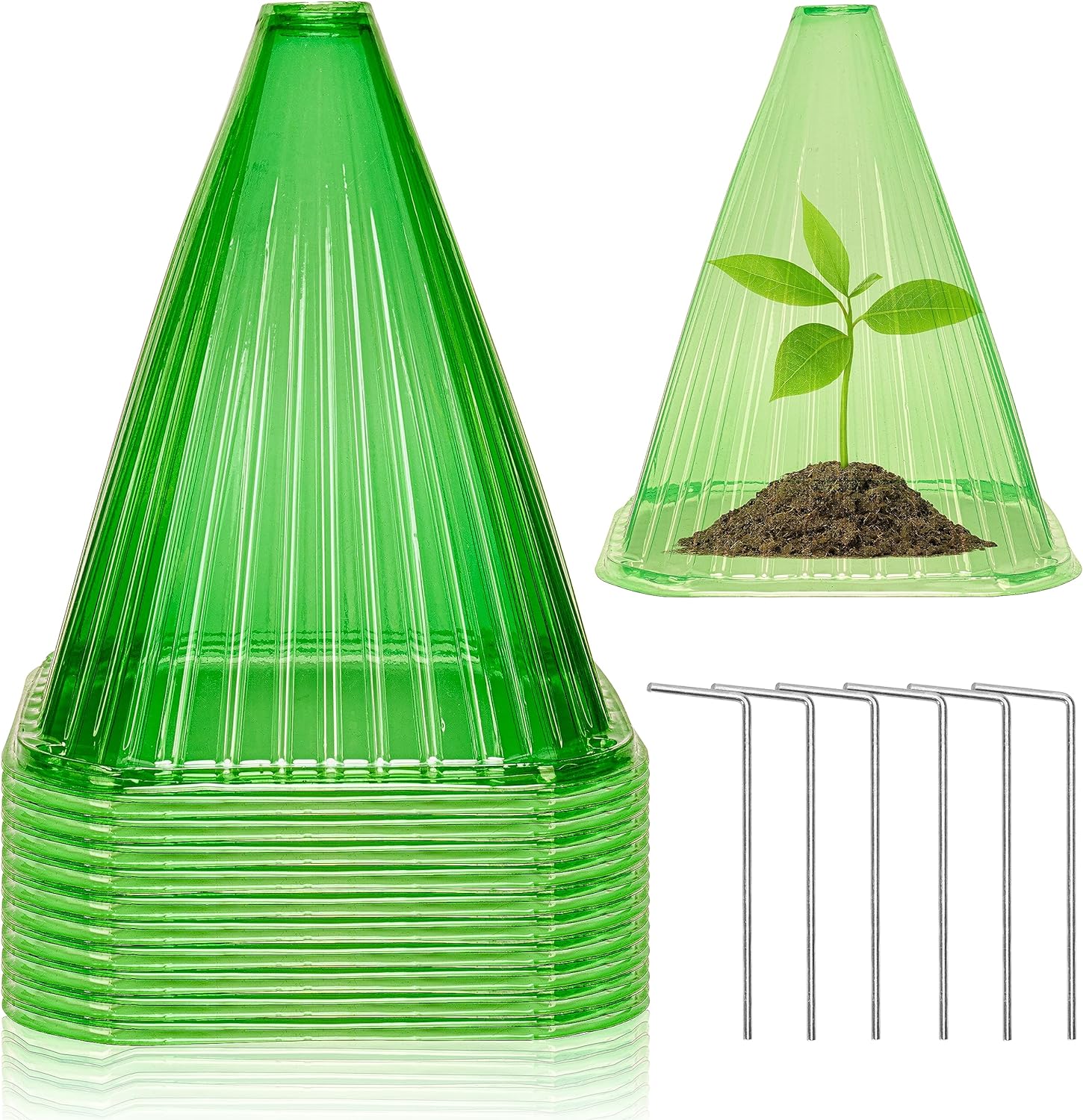 Garden  Cloches Plant Protection Transparent Green 15 PCS 30 Pieces of İron Hook - Plant Cover Reusable, Plant Bell Cover - Sun, Frost, Rain, Mud - Animals, Snails, Birds, Chickens, Insect Protectors