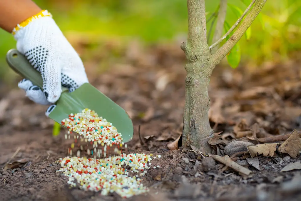 How To Apply Fertilizer In Different Soil Types