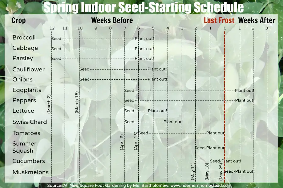 How To Create A Seed Starting Schedule