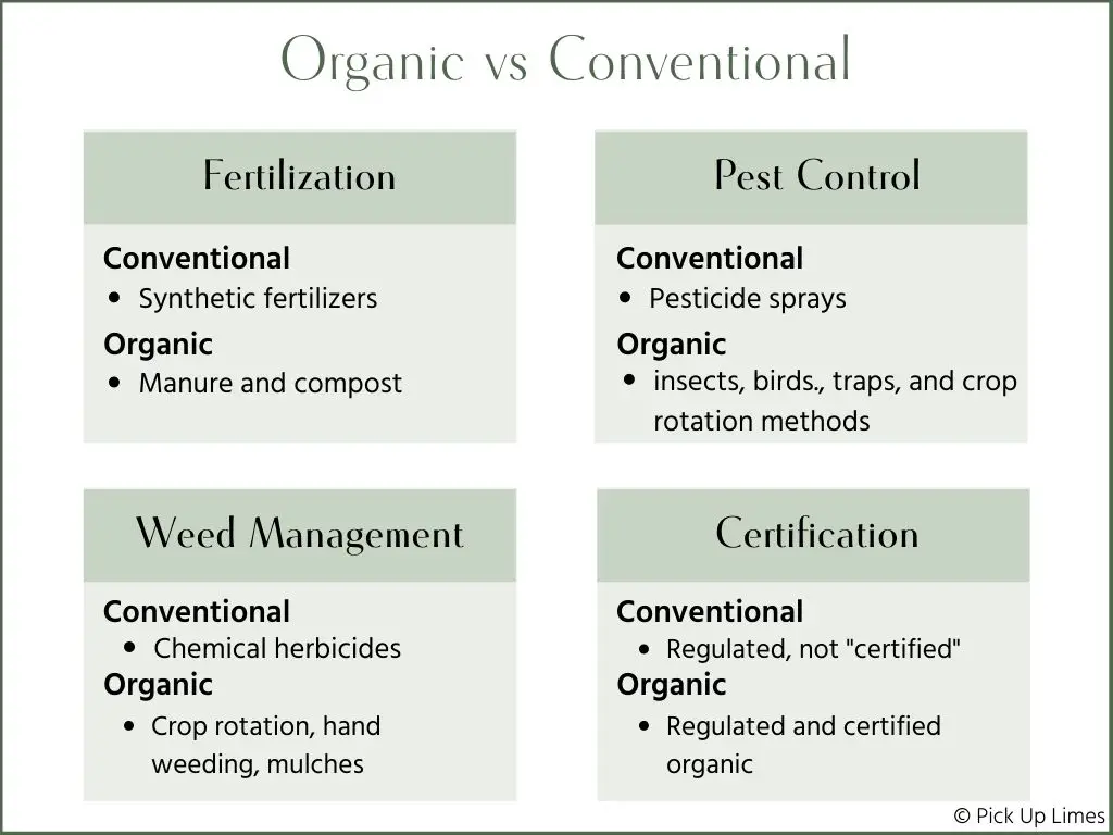 Organic Vs. Conventional Seeds: Which Is Better?
