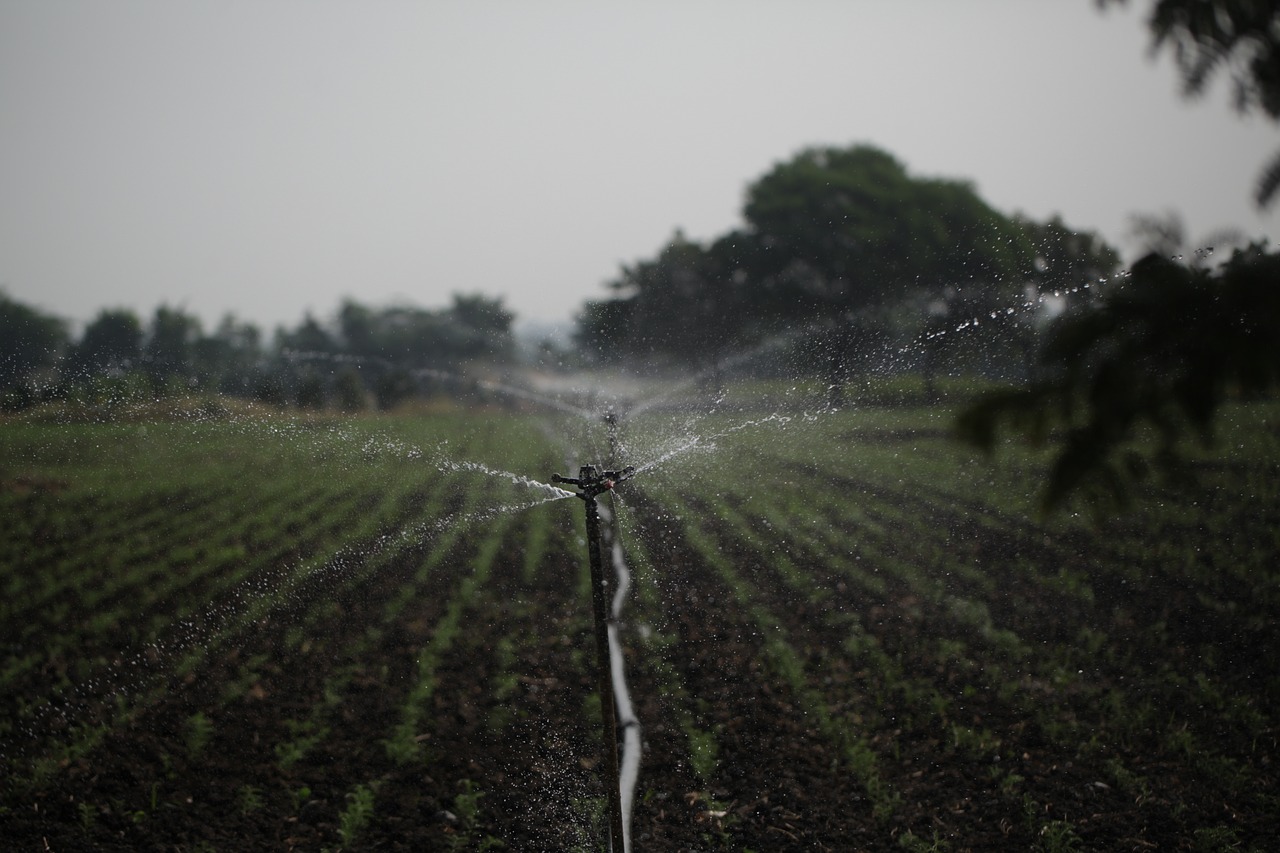 The Importance Of Proper Water Management In Agriculture