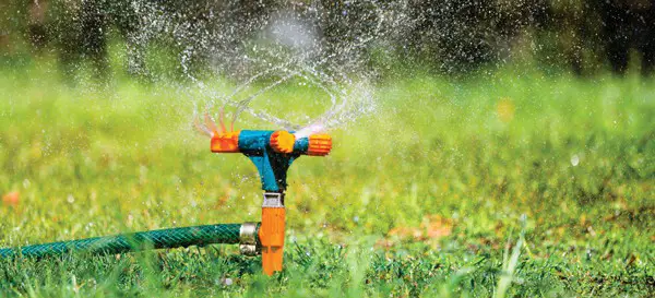 How To Save Water With An Efficient Irrigation System