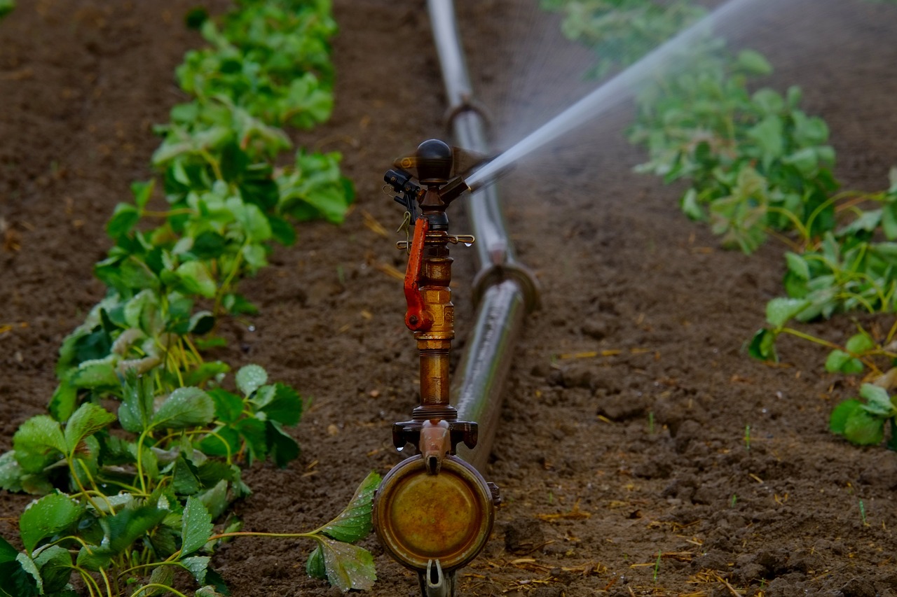 The Benefits Of Using A Smart Irrigation System On Your Farm