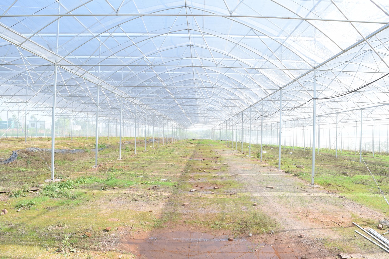 Top-rated Irrigation Systems For Greenhouses