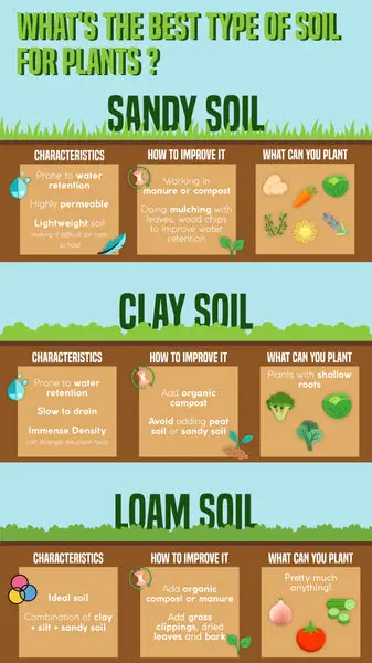 Choosing The Right Type Of Fertilizer For Different Soil Types