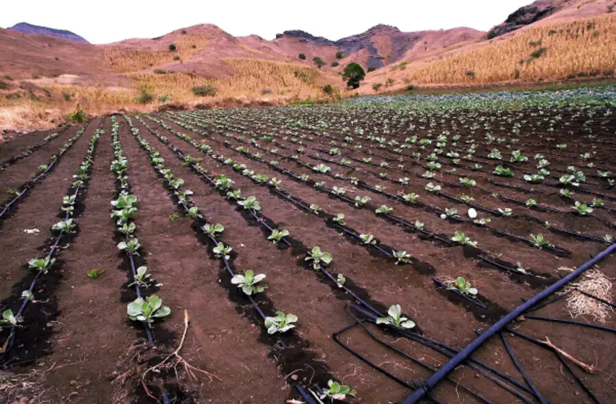 The Most Cost-Effective Irrigation Systems For Small Farms