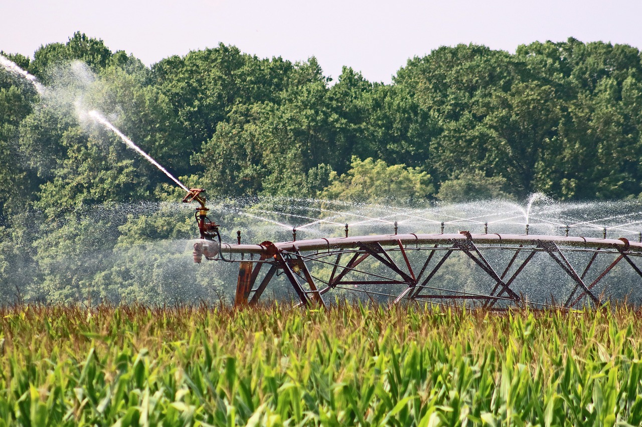 The Top Challenges Of Irrigation System Maintenance And How To Overcome Them