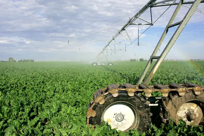 What You Need To Know Before Investing In A Pivot Irrigation System