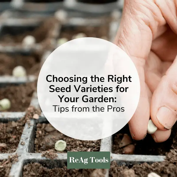Choosing The Right Seeds For Your Farm