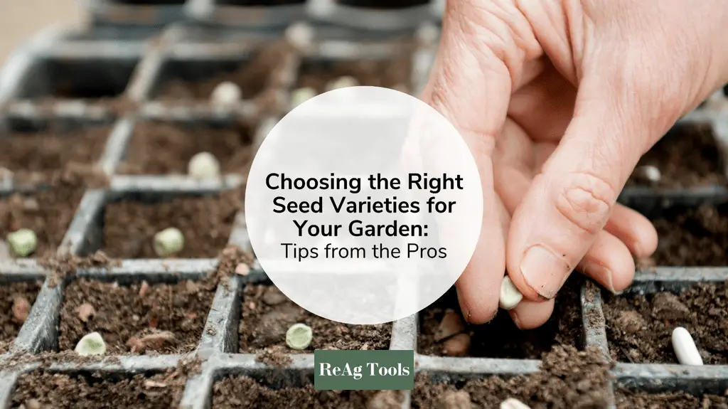 Choosing The Right Seeds For Your Farm