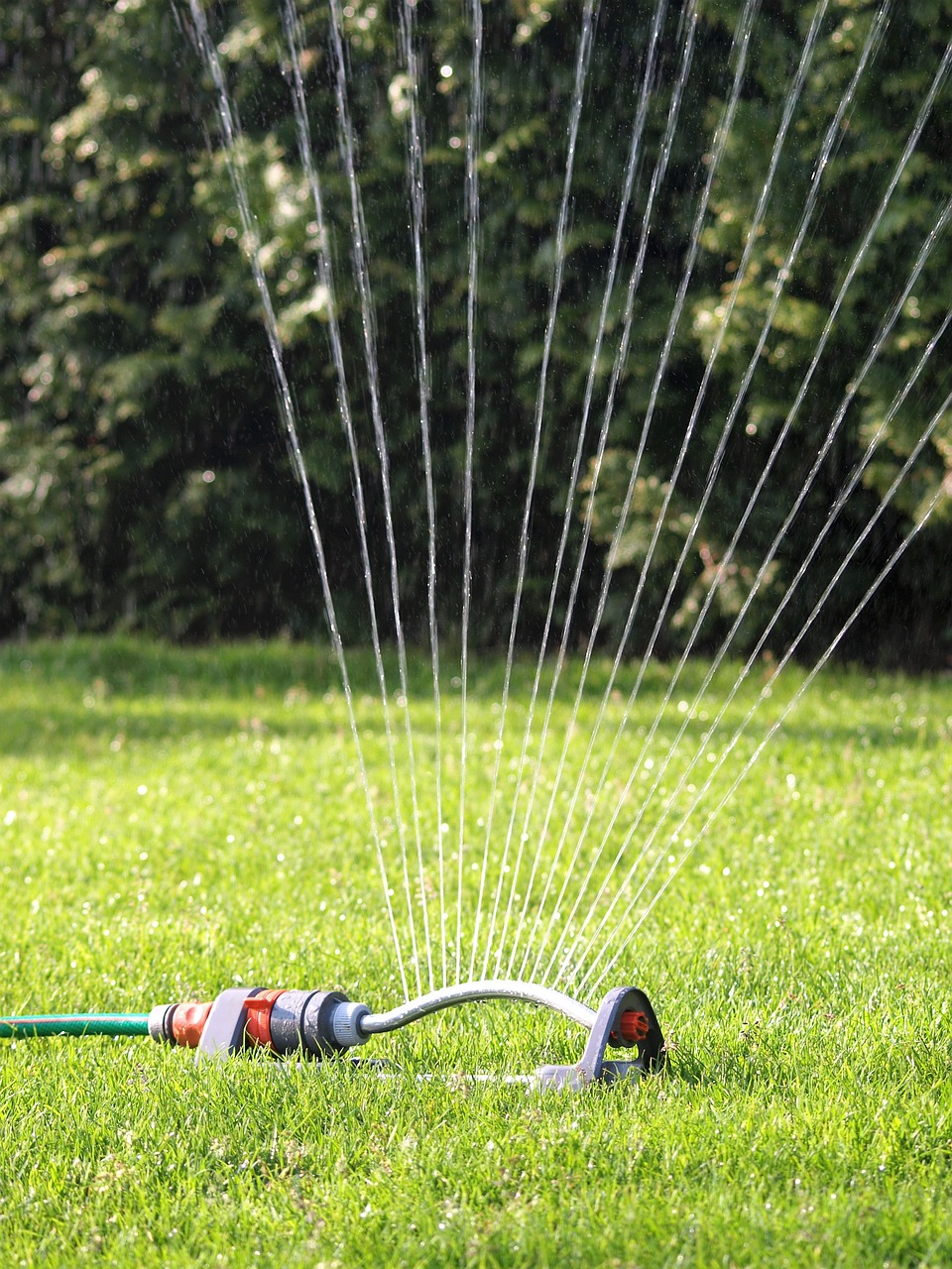 How To Properly Set Up And Adjust Your Sprinklers For Optimal Coverage