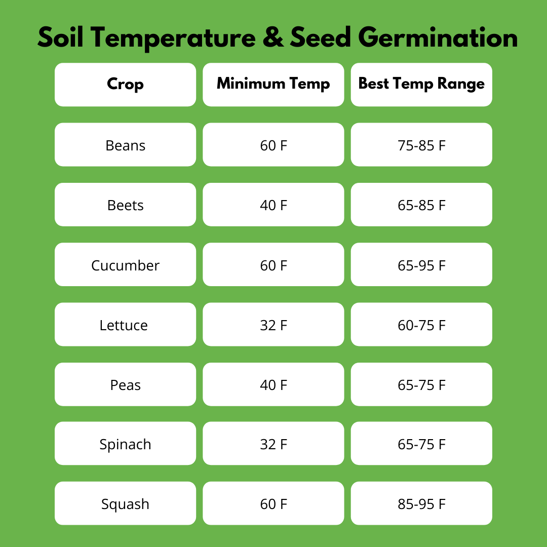 The Impact Of Soil Temperature On Seed Germination