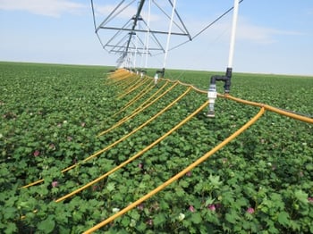 Best Ways To Minimize Water Loss In Conjunction With Your Farm Irrigation System