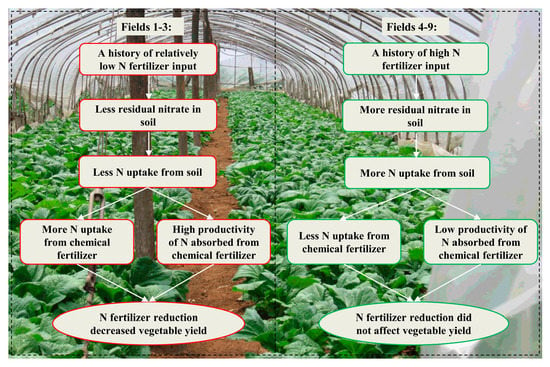 Choosing The Right Type Of Fertilizer For Greenhouse Crops