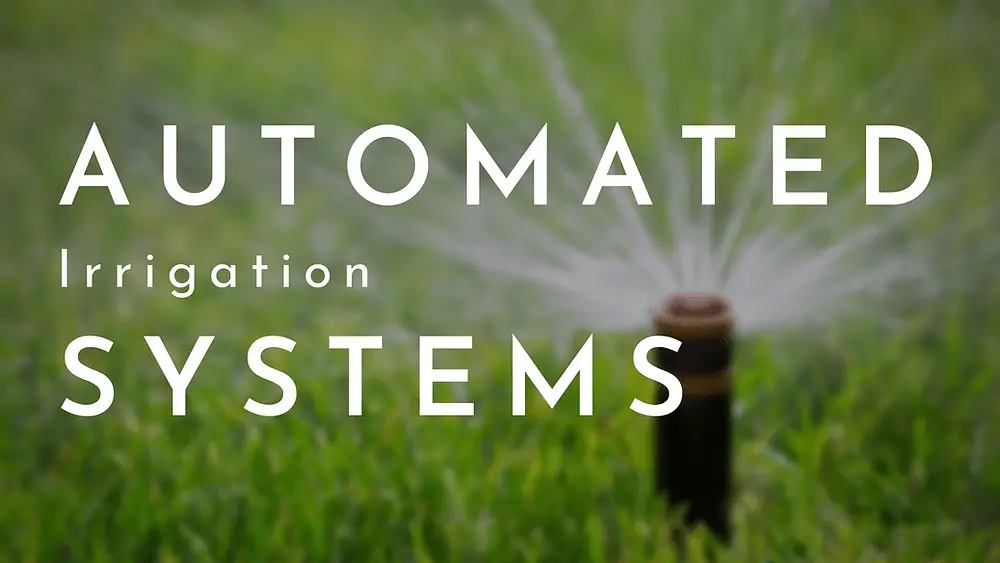 Pros And Cons Of Automated Irrigation Systems