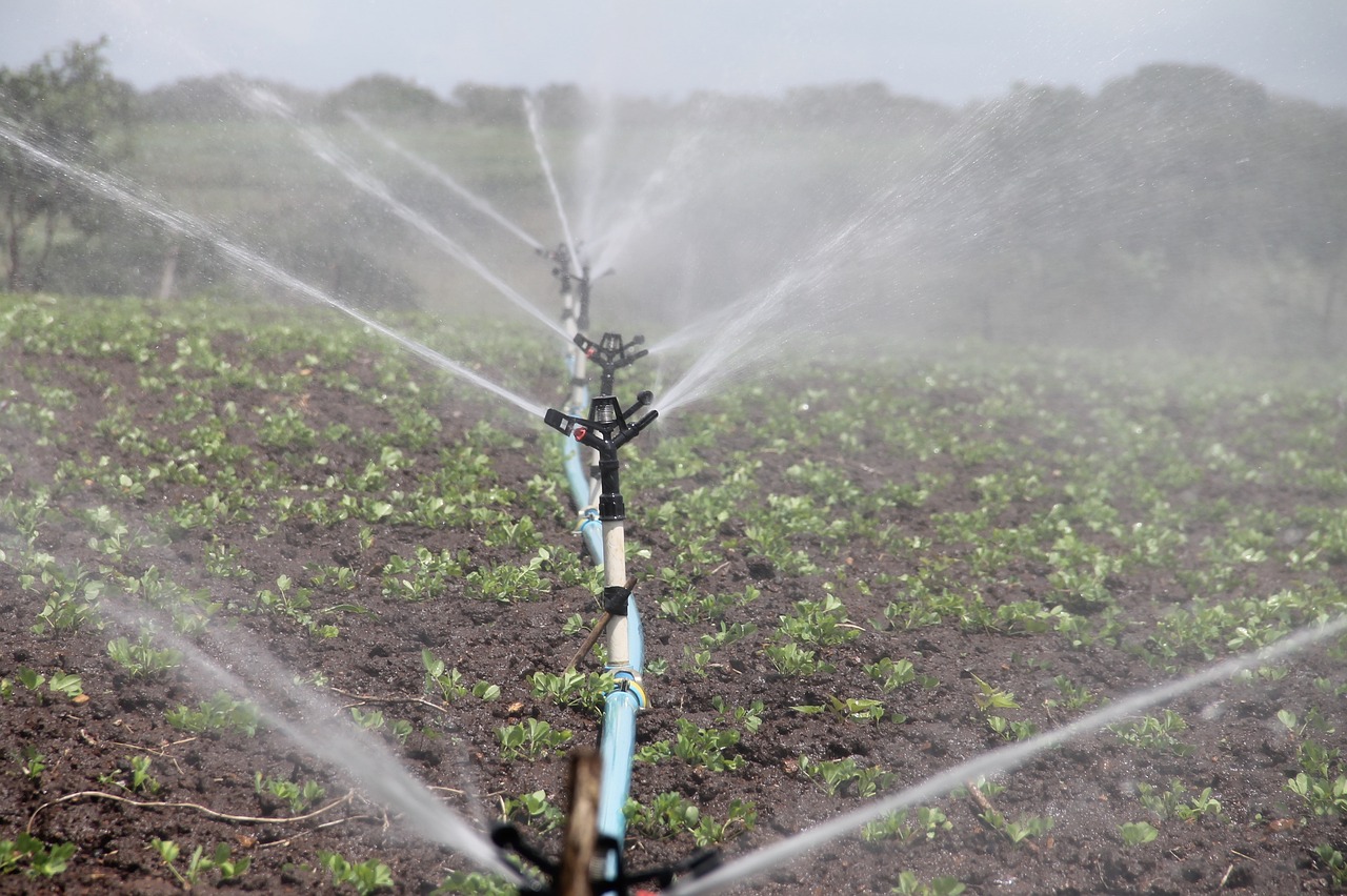 The Impact Of Irrigation Practices On Soil Health And Nutrient Management