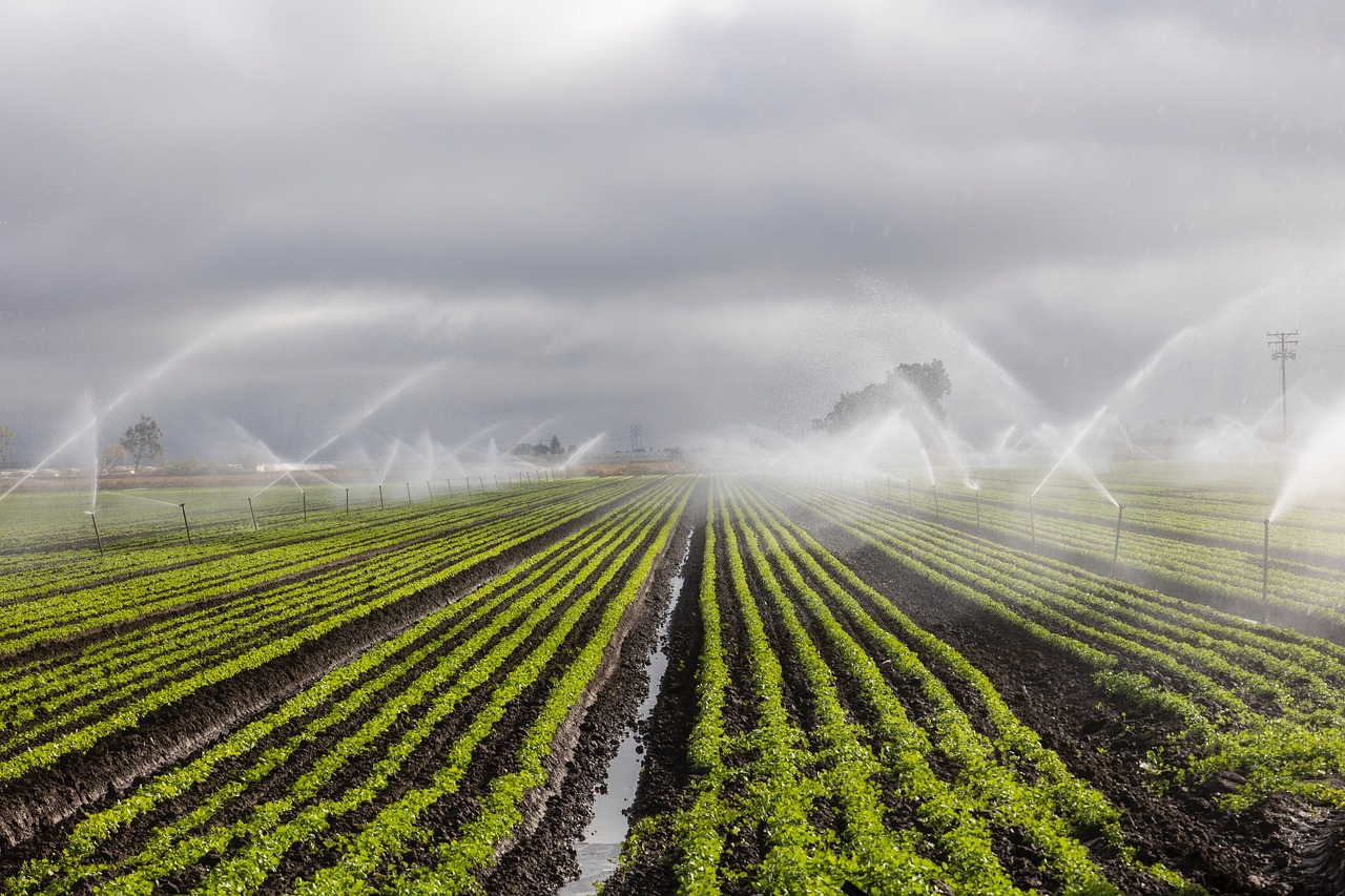 The Impact Of Irrigation System Efficiency On Overall Farm Sustainability