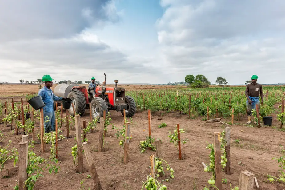 The Impact Of Tractor Accessories On Soil Health And Conservation