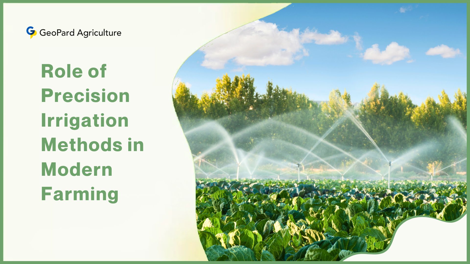 The Role Of Irrigation System Management In Precision Agriculture