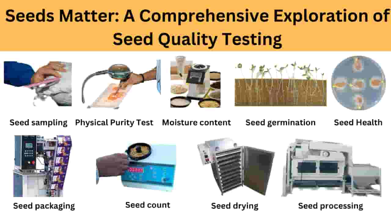 Utilizing Seed Screening Technologies For Quality Control