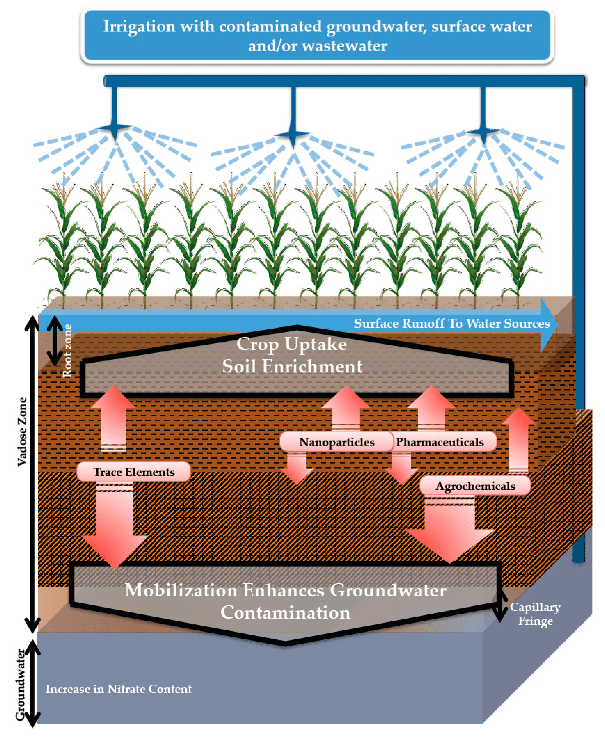 Evaluating The Environmental Impact Of Various Irrigation Systems