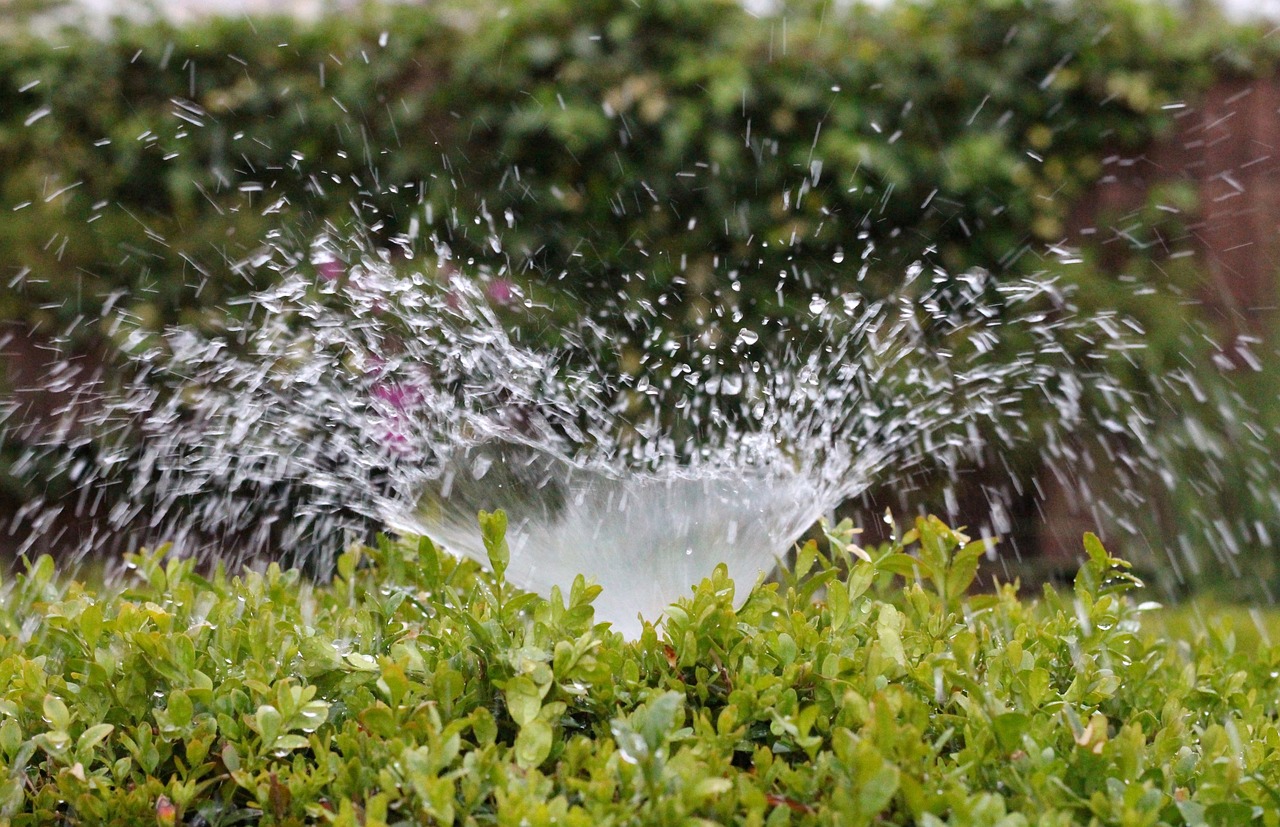 Irrigation Water Management Strategies For High Efficiency