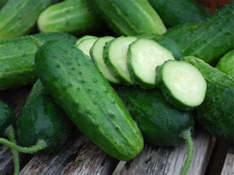 100 Boston Pickling Cucumber Seeds for Planting 3 Grams of Seeds Heirloom Non GMO USA Harvested Survival Garden