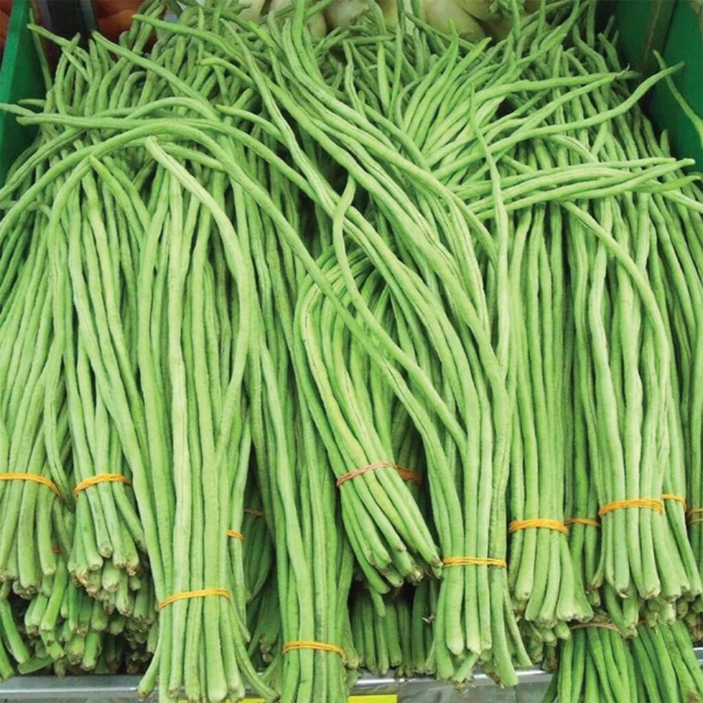 100+ Seeds Snake Oriental Yard Long Asparagus Pole Bean Seed for Planting Green Noodle Beans Heirloom Non-GMO Delicious Vegetable Seeds