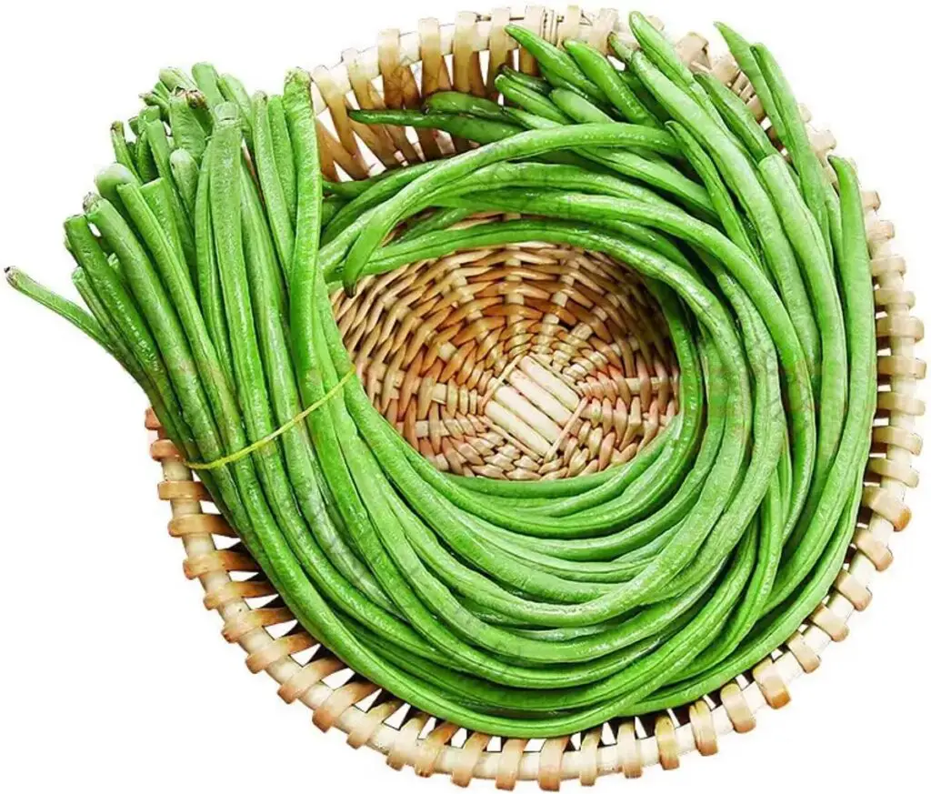 100+ Seeds Snake Oriental Yard Long Asparagus Pole Bean Seed for Planting Green Noodle Beans Heirloom Non-GMO Delicious Vegetable Seeds
