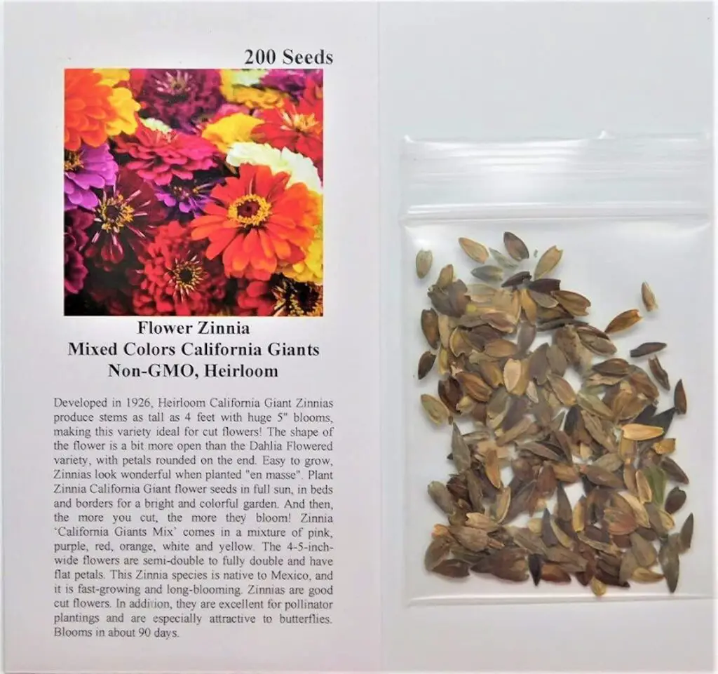 Flower Zinnia Mixed Colors California Giants FBA-0009 (Multi) 200 Non-GMO, Heirloom Seeds
