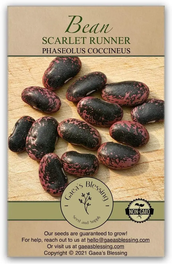 Gaeas Blessing Seeds - Scarlet Runner Bean Seeds - Non-GMO Seeds for Planting with Easy to Follow Instructions 94% Germination Rate
