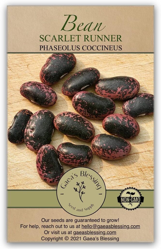 Scarlet Runner Pole Bean Seeds - Rohrer Seeds