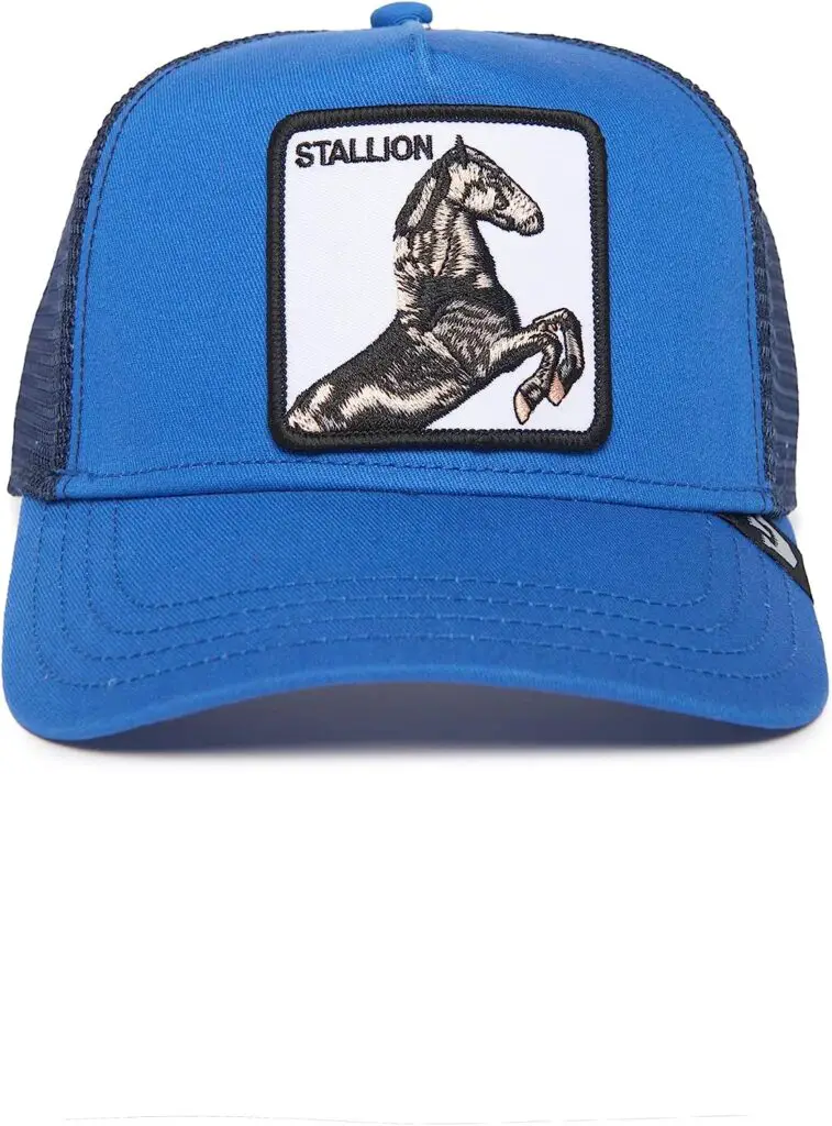 Goorin Bros. The Farm Original Adjustable Mesh Trucker Hat for Men and Women