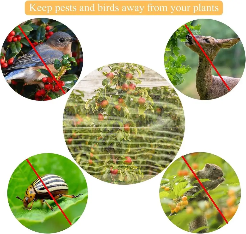 Fruit Tree Netting Cover with Zipper and Drawstring, Insect Bird Barrier Netting Mesh for Garden Protection, Large, 1 Pack (7.8 x 7.8ft)