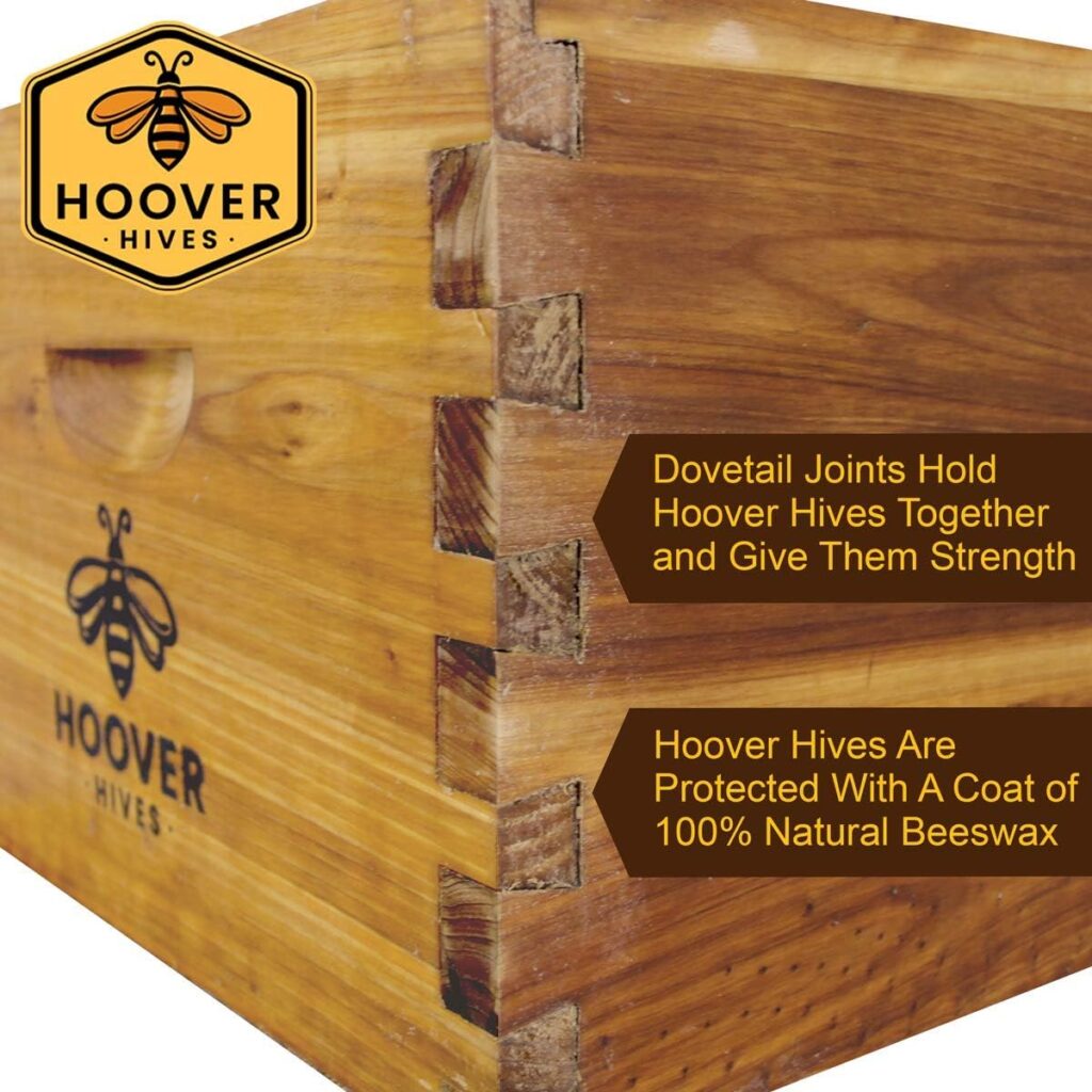 Hoover Hives 8 Frame Langstroth Beehive Dipped in 100% Beeswax Starter Kit (1 Deep Box  Accessories)