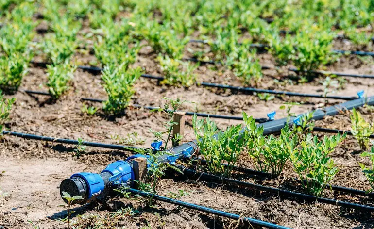 How Do I Choose The Right Irrigation System For My Farm?
