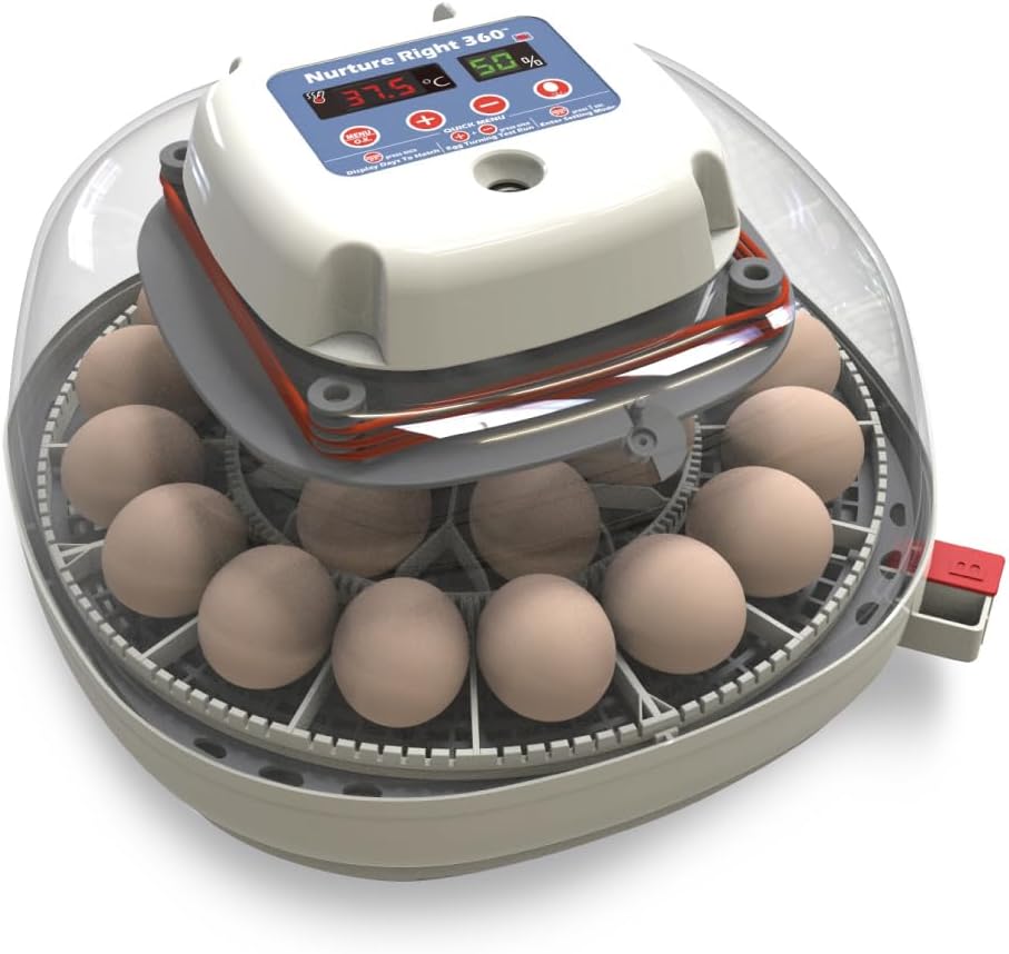 Manna Pro Harris Farms Nurture Right Incubator - Egg Incubator for Hatching Chicks - Holds 22 Eggs - Automatic Egg Turner with Temperature and Humidity Control - 360 Degree View With Clear Window
