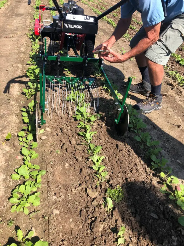 How Do I Choose The Right Type Of Weeder For My Farm?