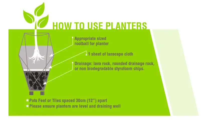 What Are The Best Practices For Using A Planter?