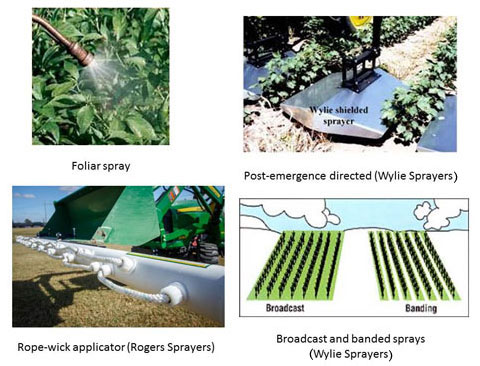 Choosing The Best Pesticide Applicator For Your Specific Needs