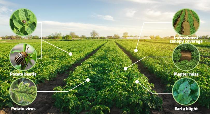 Integrating Remote Sensing Technology Into Your Farm Irrigation System Management