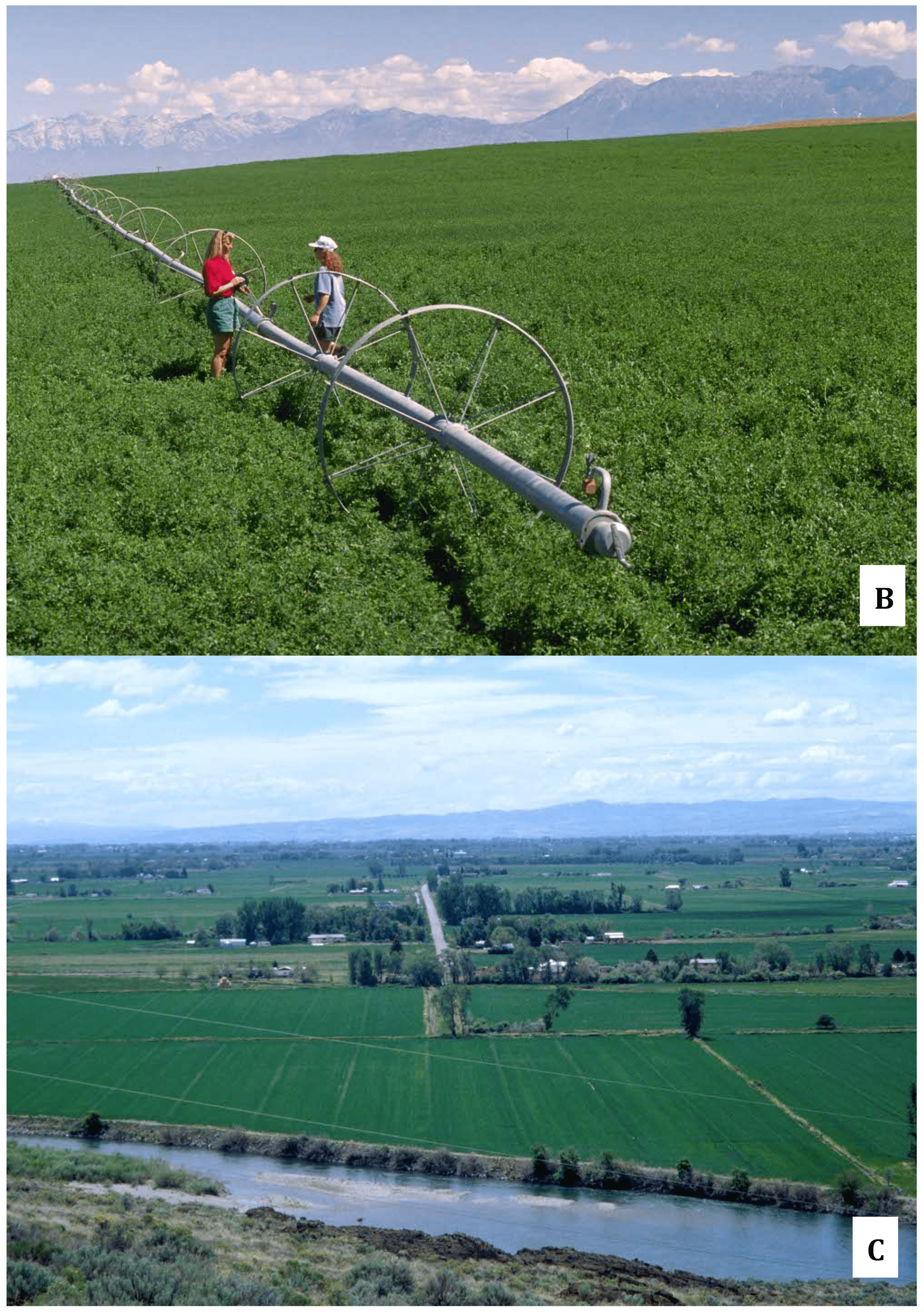 Integrating Remote Sensing Technology Into Your Farm Irrigation System Management