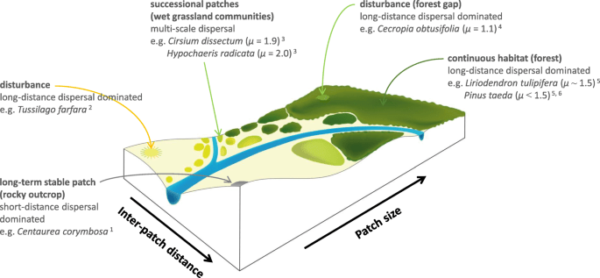The Role Of Seed Dispersal In Ecosystem Dynamics - AgriReVu: Your Guide ...