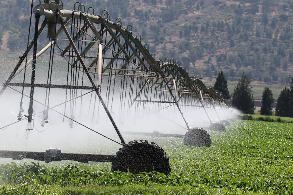 Unlocking The Potential Of Smart Irrigation Systems