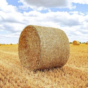 Reviewing the Gasgimos Durable Slow Feed Hay Net for Horses