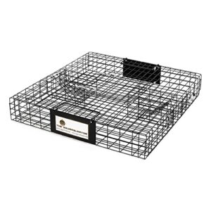 Effective Pest Control: Review of the Squirrelinator Trap