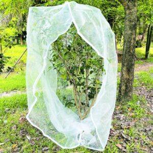 Shield Your Garden: Review of BKDMZZMY Protective Netting