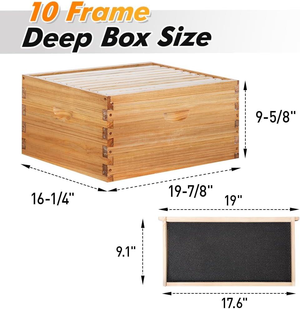 Our Take on POLLIBEE's 10-Frame Complete Langstroth Hive