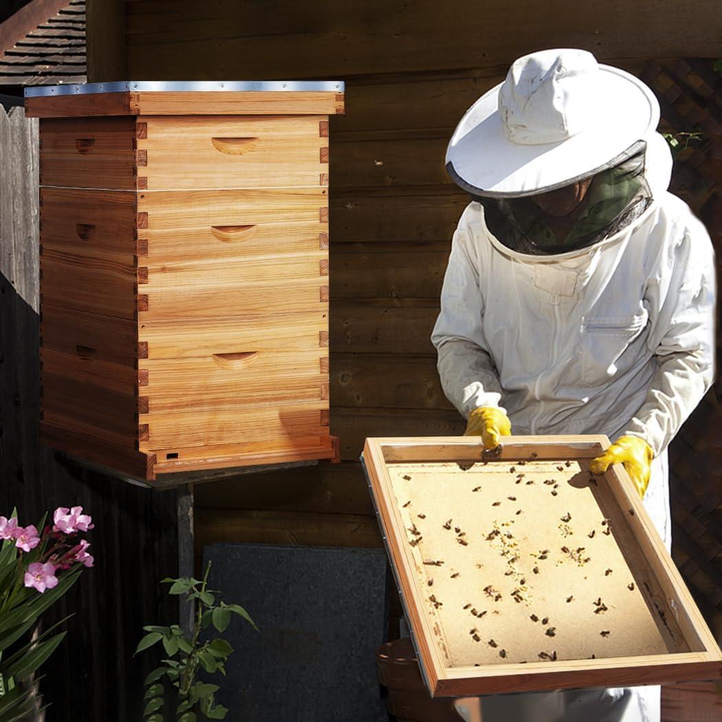 Our Take on POLLIBEE's 10-Frame Complete Langstroth Hive