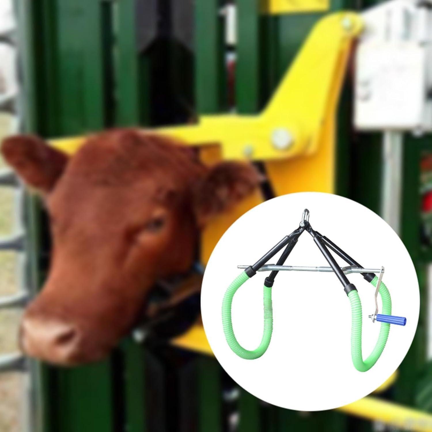 We Tested the 1000kg Cow Hip Lift: A Dairy Farmer's Best Friend